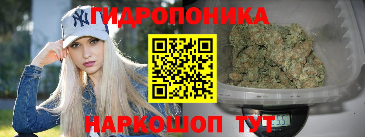 Чернушка  Конопля White Widow  Вход с VPN  Канабис SATIVA & INDICA 